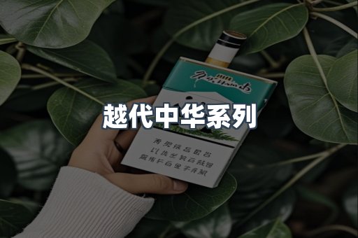 越代中华系列